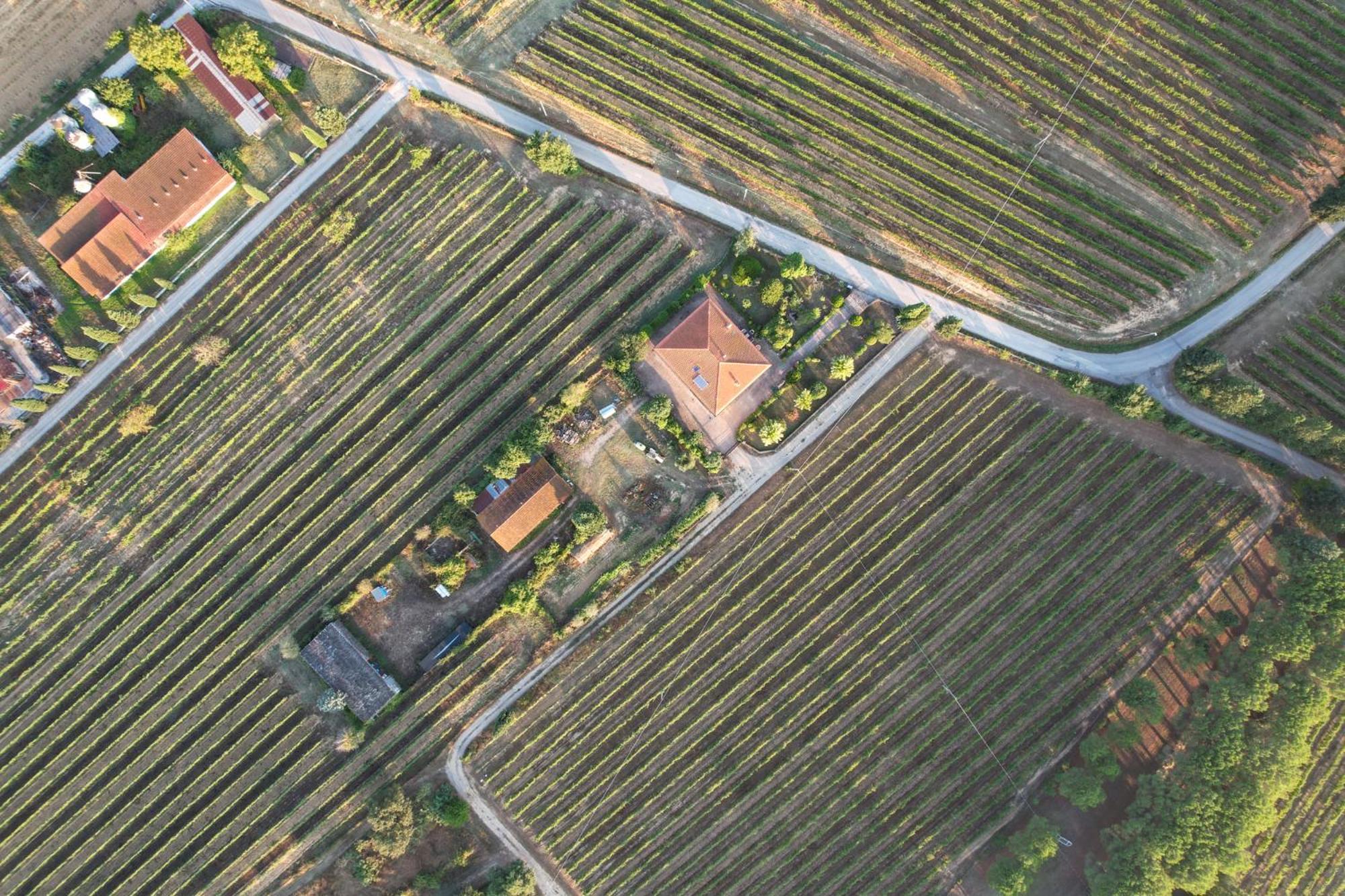 Cappannelle Country House Tuscany Castiglion Fibocchi Buitenkant foto
