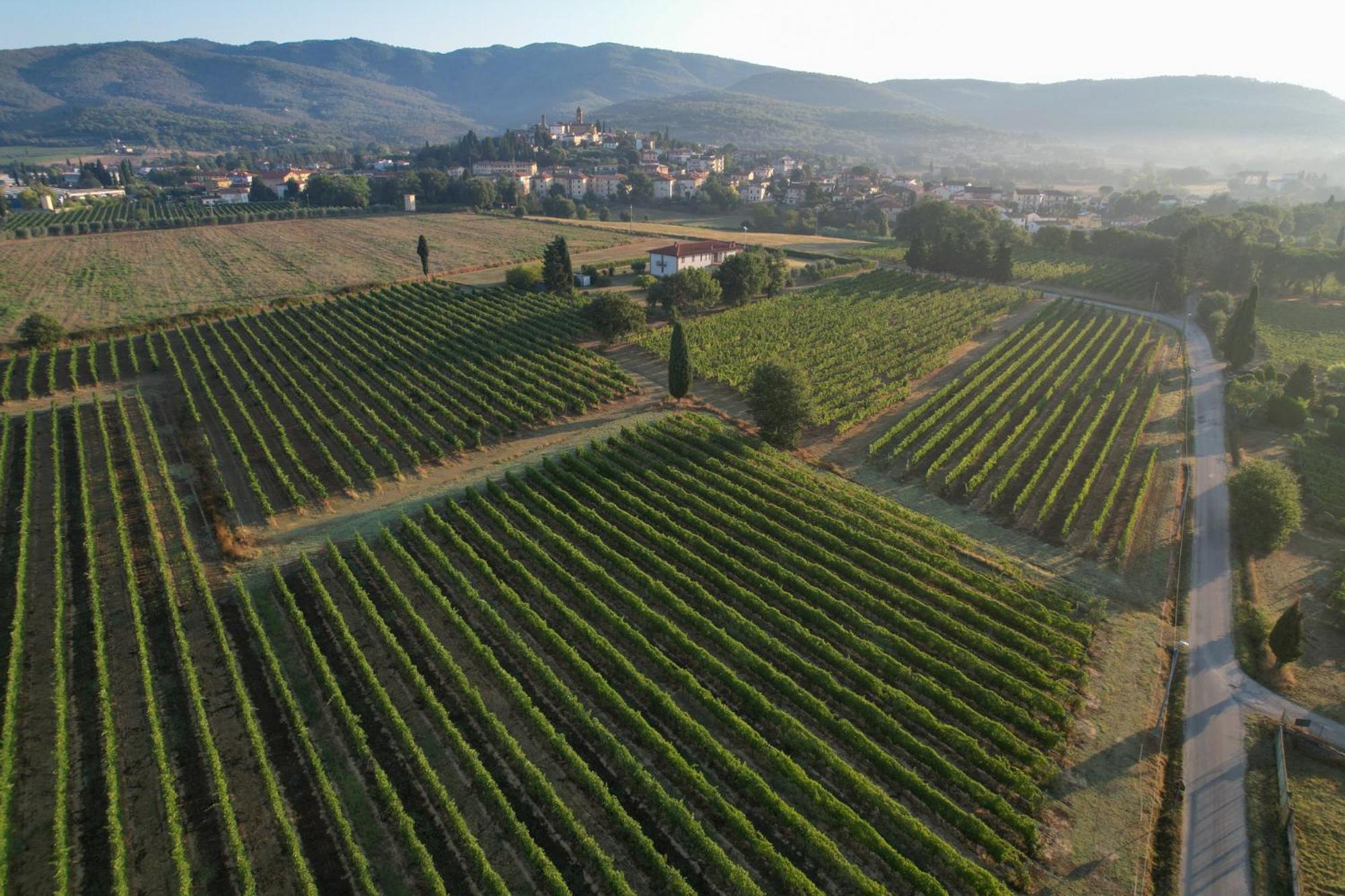 Cappannelle Country House Tuscany Castiglion Fibocchi Buitenkant foto