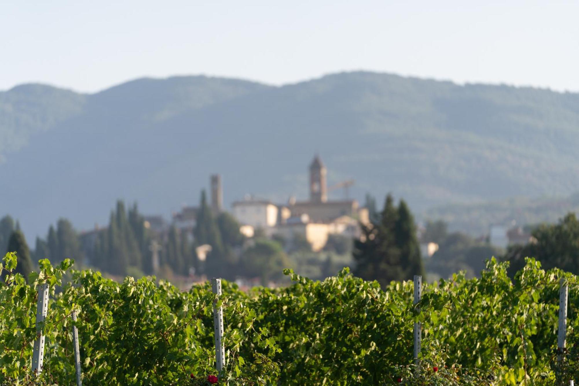 Cappannelle Country House Tuscany Castiglion Fibocchi Buitenkant foto