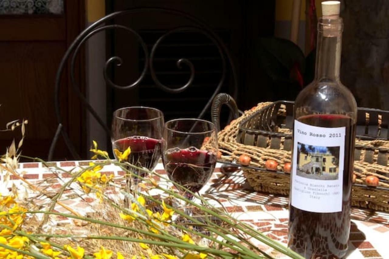 Cappannelle Country House Tuscany Castiglion Fibocchi Buitenkant foto
