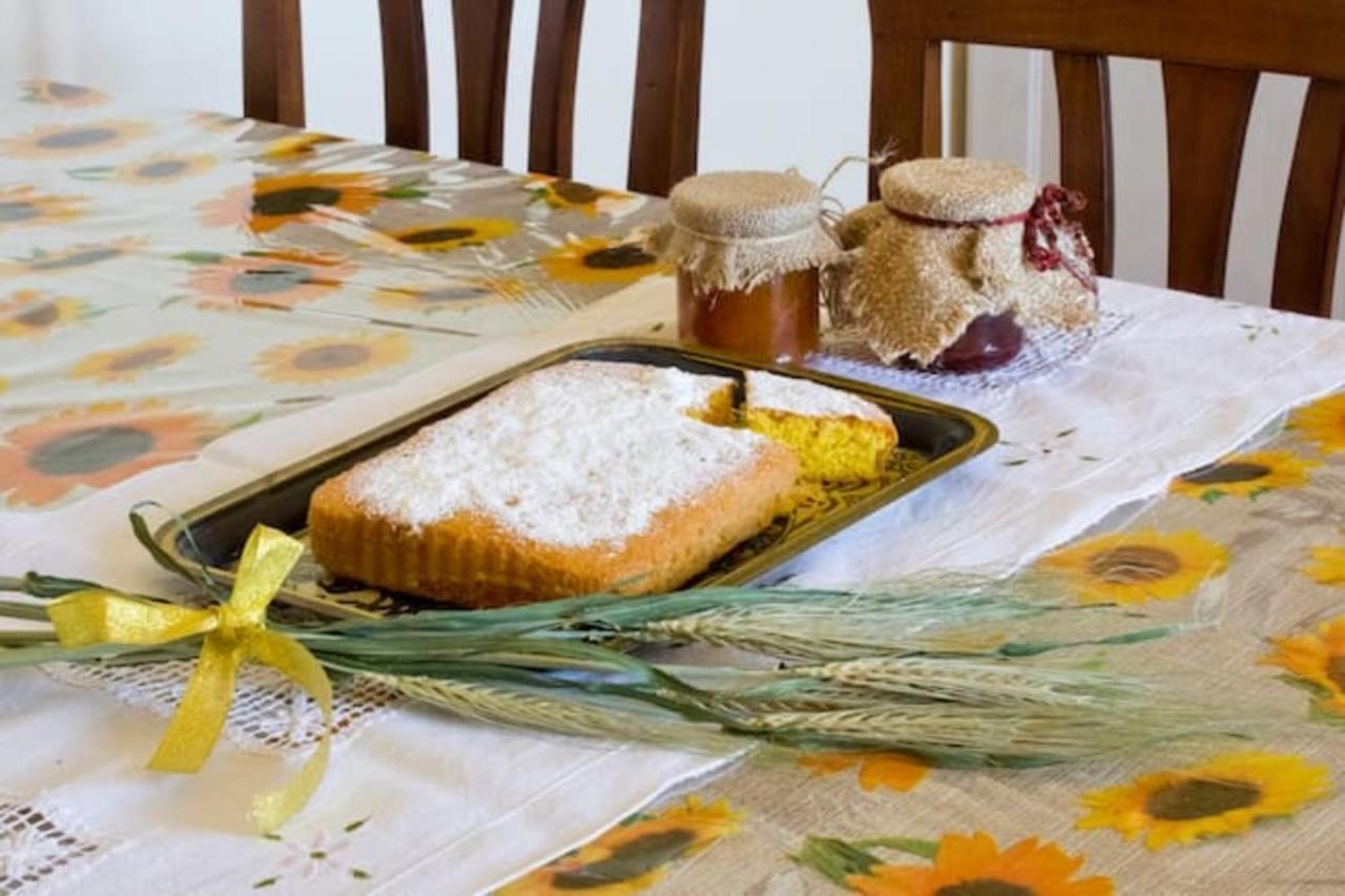 Cappannelle Country House Tuscany Castiglion Fibocchi Buitenkant foto